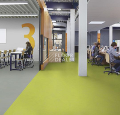 Forbo Marmoleum Solid Concrete 3742-374235 green glow фото 3 | FLOORDEALER